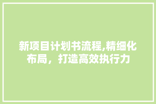新项目计划书流程,精细化布局，打造高效执行力 个人简历
