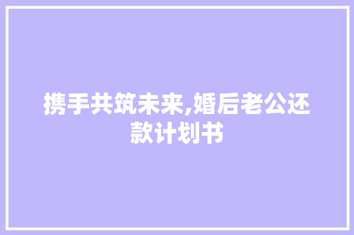 携手共筑未来,婚后老公还款计划书