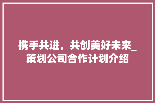 携手共进，共创美好未来_策划公司合作计划介绍
