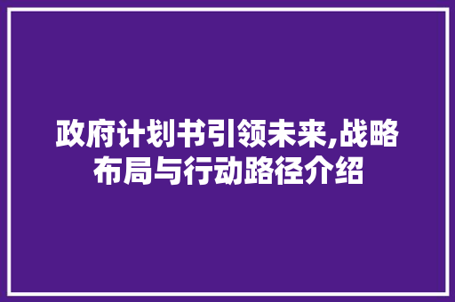 政府计划书引领未来,战略布局与行动路径介绍