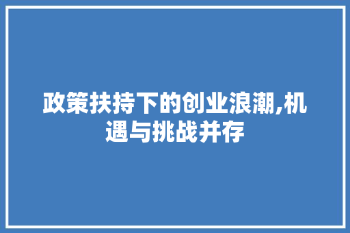 政策扶持下的创业浪潮,机遇与挑战并存