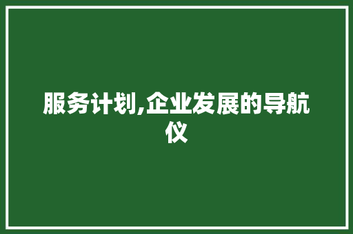 服务计划,企业发展的导航仪