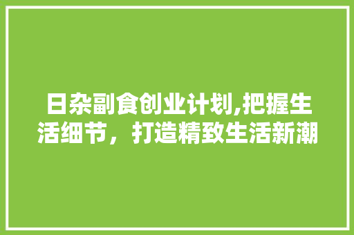 日杂副食创业计划,把握生活细节，打造精致生活新潮流 工作计划