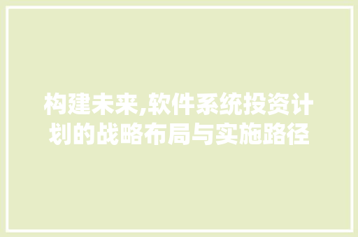 构建未来,软件系统投资计划的战略布局与实施路径