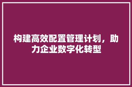 构建高效配置管理计划，助力企业数字化转型