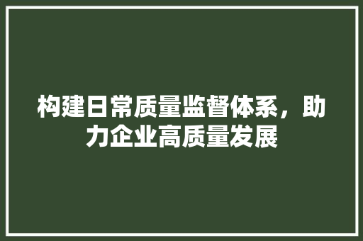 构建日常质量监督体系，助力企业高质量发展
