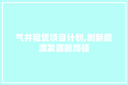 气井租赁项目计划,创新能源发展新路径