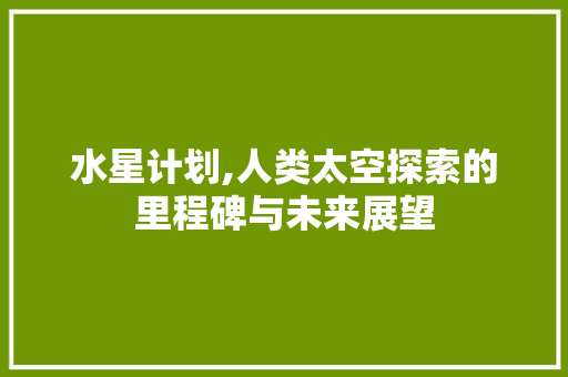 水星计划,人类太空探索的里程碑与未来展望 工作总结