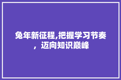 兔年新征程,把握学习节奏，迈向知识巅峰