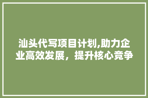 汕头代写项目计划,助力企业高效发展，提升核心竞争力