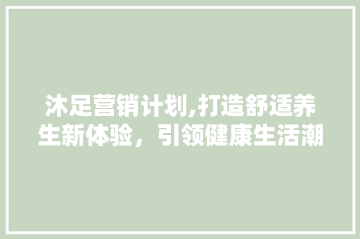 沐足营销计划,打造舒适养生新体验，引领健康生活潮流 工作总结