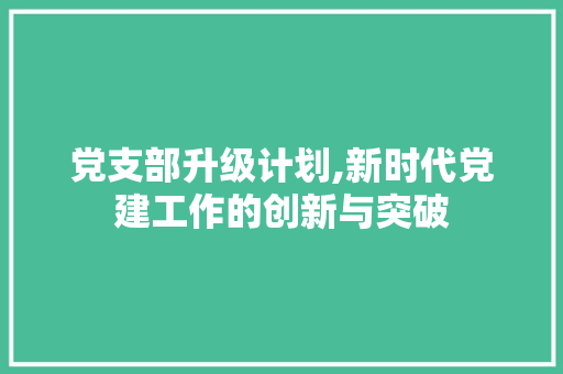 党支部升级计划,新时代党建工作的创新与突破