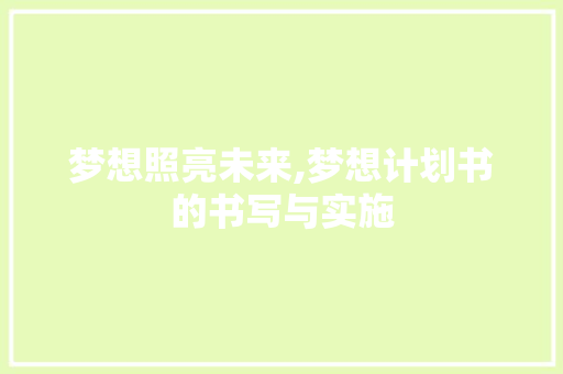 梦想照亮未来,梦想计划书的书写与实施