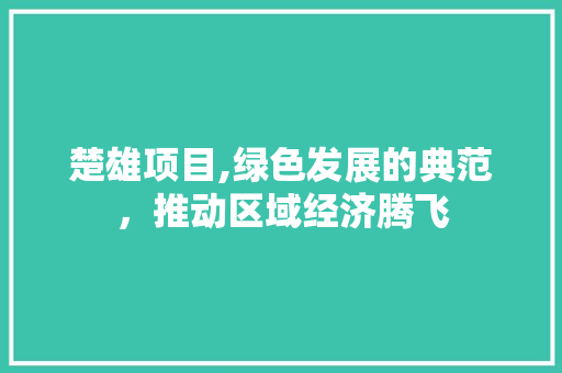 楚雄项目,绿色发展的典范，推动区域经济腾飞