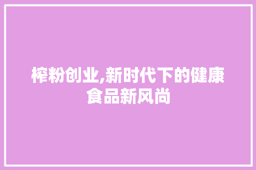 榨粉创业,新时代下的健康食品新风尚