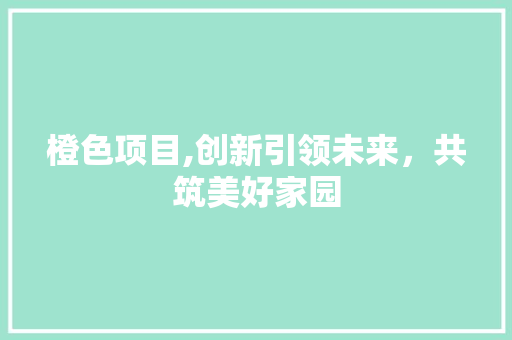 橙色项目,创新引领未来，共筑美好家园