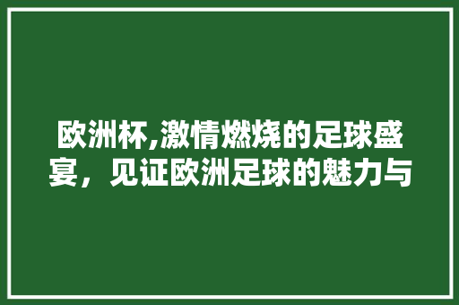 欧洲杯,激情燃烧的足球盛宴，见证欧洲足球的魅力与荣耀 合同范本