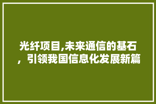 光纤项目,未来通信的基石，引领我国信息化发展新篇章