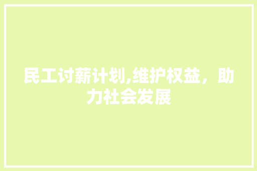 民工讨薪计划,维护权益，助力社会发展