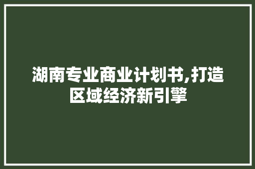 湖南专业商业计划书,打造区域经济新引擎