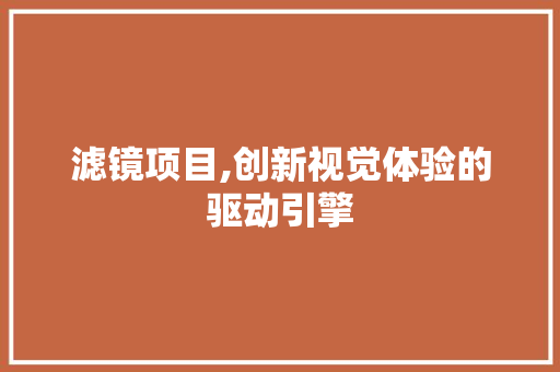 滤镜项目,创新视觉体验的驱动引擎 个人简历