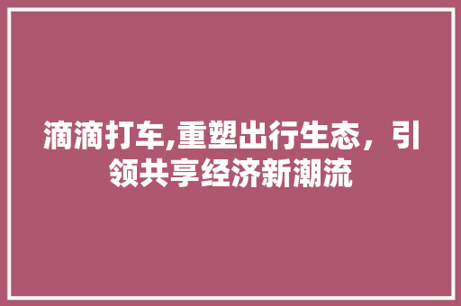滴滴打车,重塑出行生态，引领共享经济新潮流