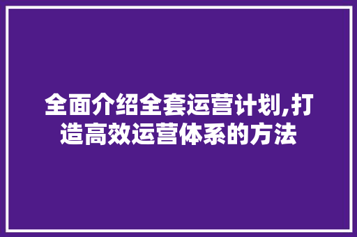 全面介绍全套运营计划,打造高效运营体系的方法