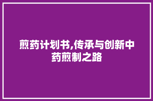 煎药计划书,传承与创新中药煎制之路