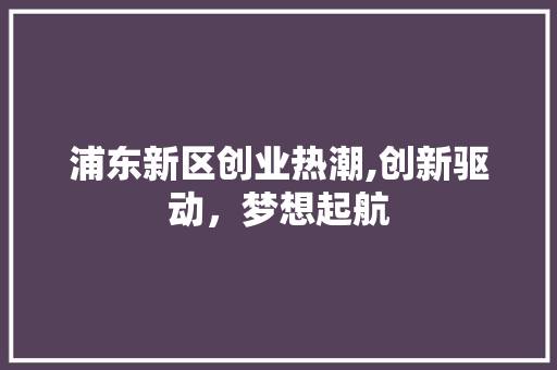 浦东新区创业热潮,创新驱动，梦想起航