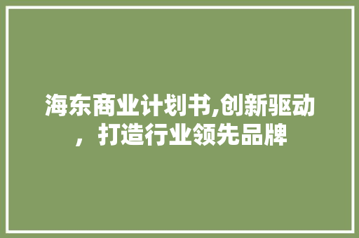 海东商业计划书,创新驱动，打造行业领先品牌