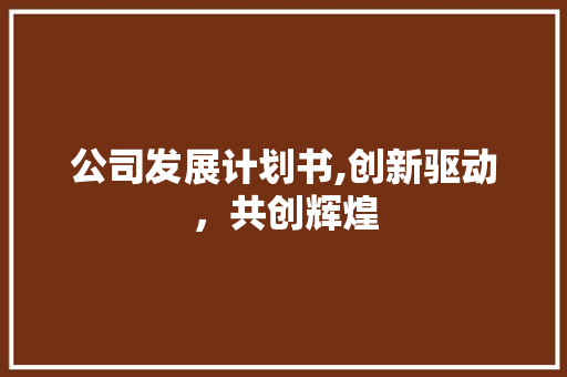 公司发展计划书,创新驱动，共创辉煌