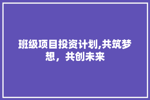 班级项目投资计划,共筑梦想，共创未来