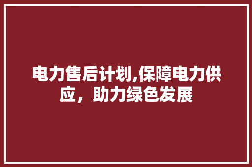 电力售后计划,保障电力供应，助力绿色发展