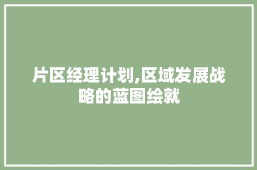 片区经理计划,区域发展战略的蓝图绘就