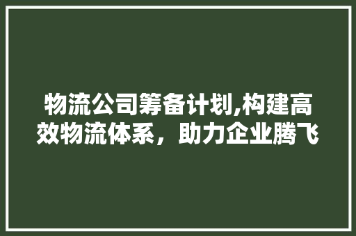 物流公司筹备计划,构建高效物流体系，助力企业腾飞