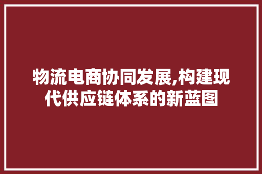 物流电商协同发展,构建现代供应链体系的新蓝图