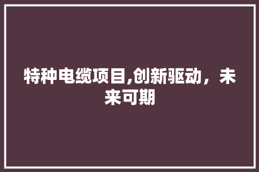 特种电缆项目,创新驱动，未来可期