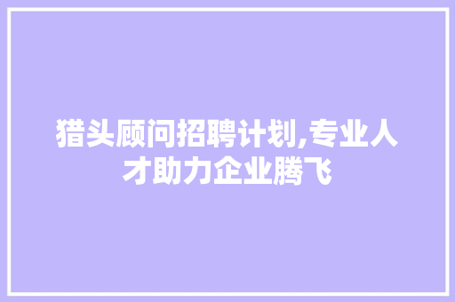猎头顾问招聘计划,专业人才助力企业腾飞
