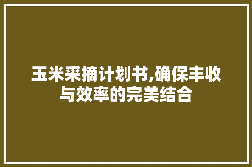 玉米采摘计划书,确保丰收与效率的完美结合