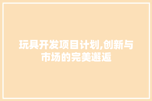 玩具开发项目计划,创新与市场的完美邂逅