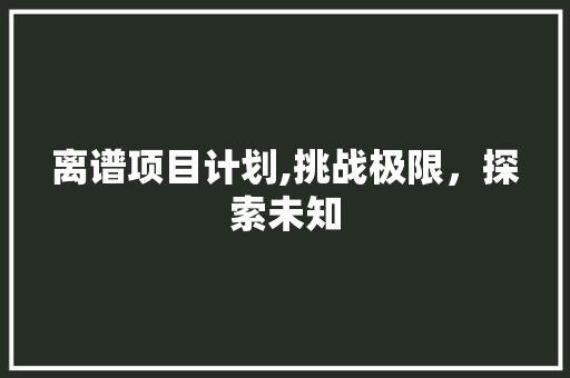 离谱项目计划,挑战极限，探索未知