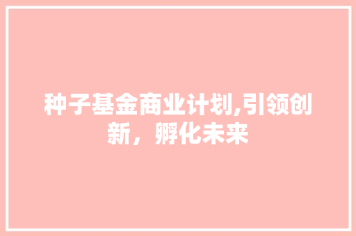 种子基金商业计划,引领创新，孵化未来 演讲稿