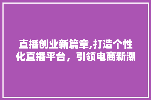 直播创业新篇章,打造个性化直播平台，引领电商新潮流