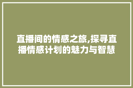 直播间的情感之旅,探寻直播情感计划的魅力与智慧