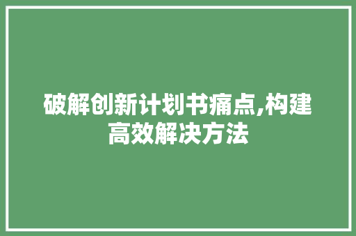 破解创新计划书痛点,构建高效解决方法 演讲稿
