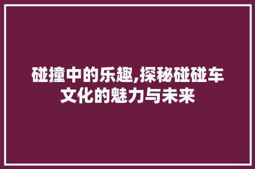 碰撞中的乐趣,探秘碰碰车文化的魅力与未来