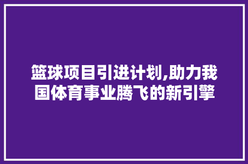 篮球项目引进计划,助力我国体育事业腾飞的新引擎