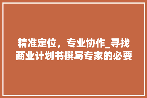 精准定位，专业协作_寻找商业计划书撰写专家的必要性