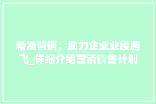 精准营销，助力企业业绩腾飞_详细介绍营销销售计划