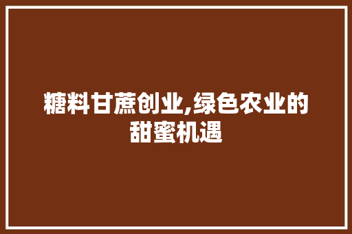 糖料甘蔗创业,绿色农业的甜蜜机遇 工作计划